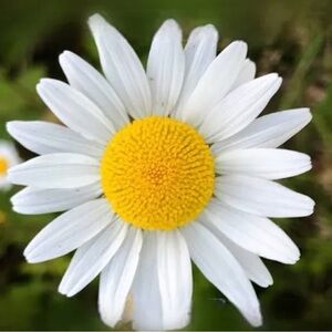 UNLISTED ITEMS AS SEEN ON SCREEN!!